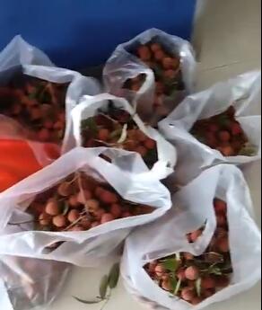 一袋袋.jpg 一袋袋.jpg